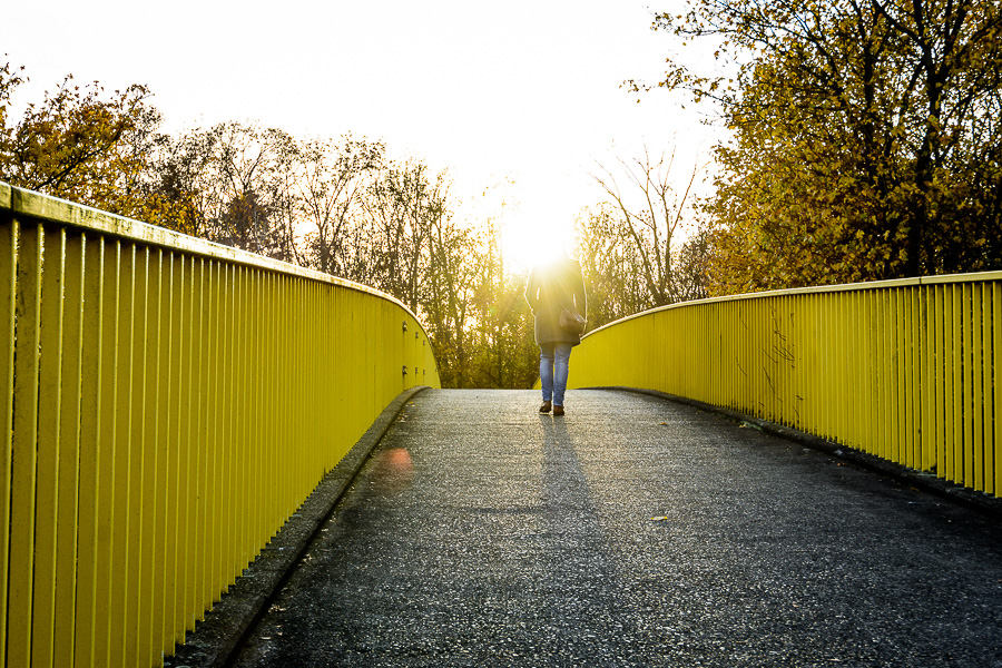 Der Sonne entgegen.